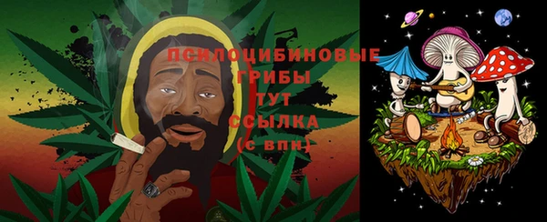 меф Вяземский