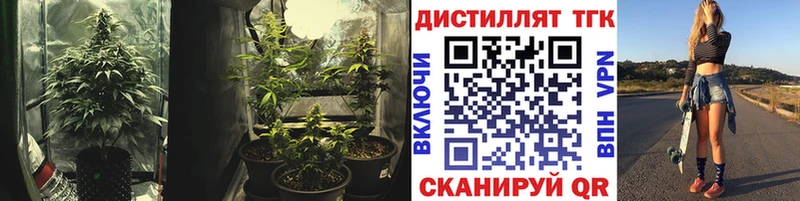 ТГК Wax  нарко площадка как зайти  Верхняя Тура 